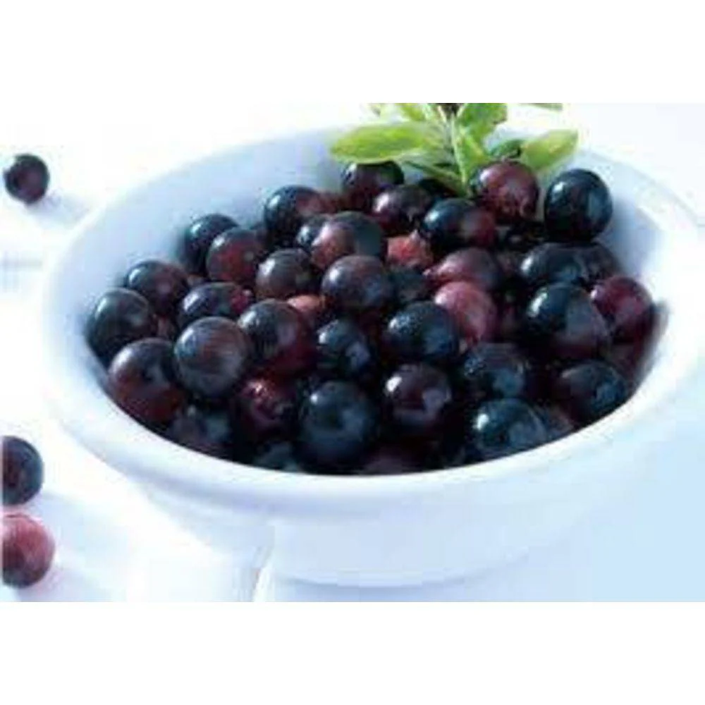 Acai Berry 10:1 Organic Extract Powder - Image 4