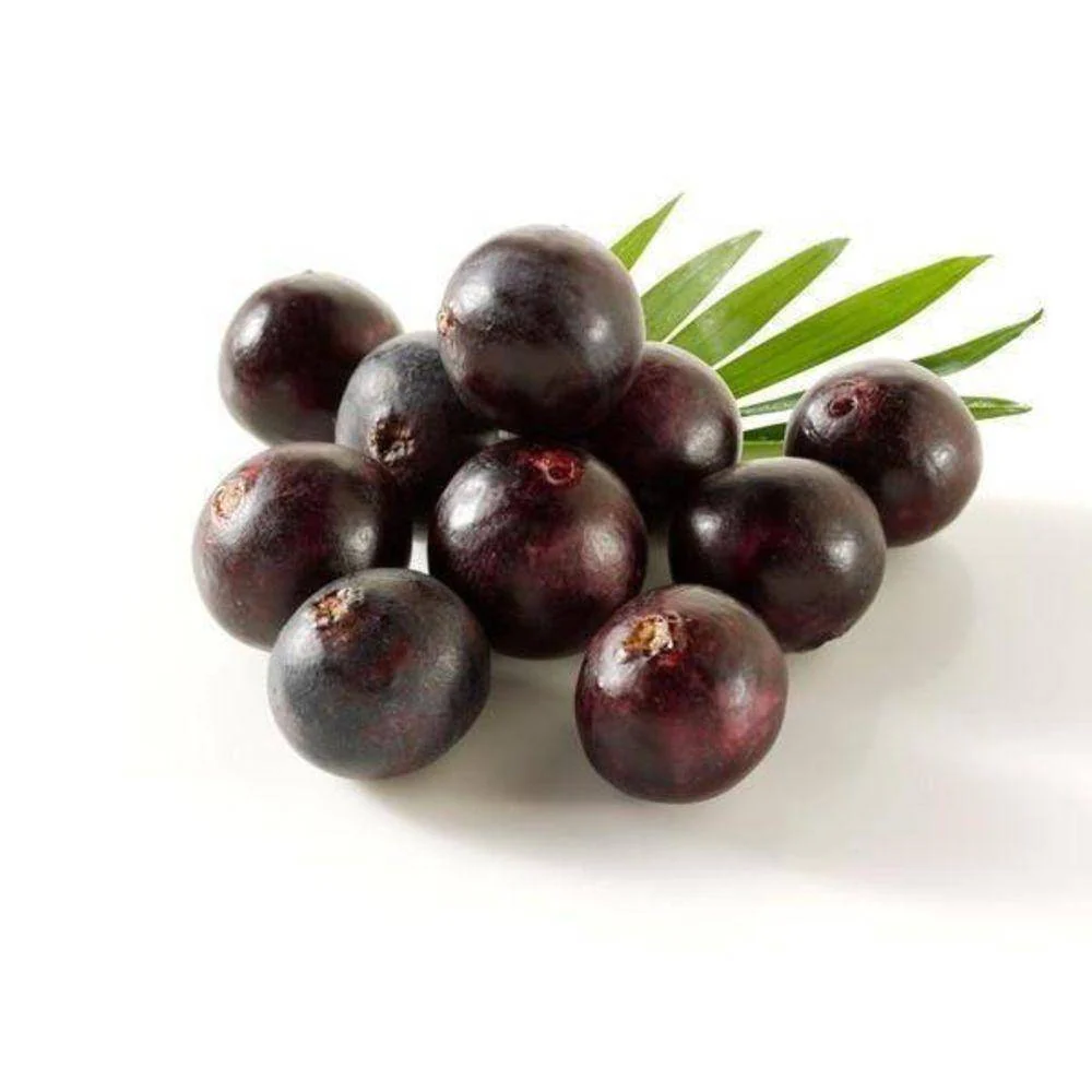 Acai Berry 10:1 Organic Extract Powder - Image 6