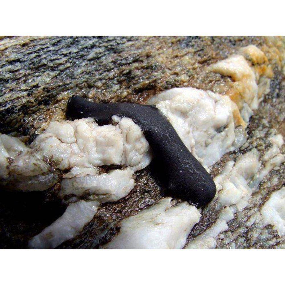 Shilajit Resin Oil Himalayan Gold - Image 11