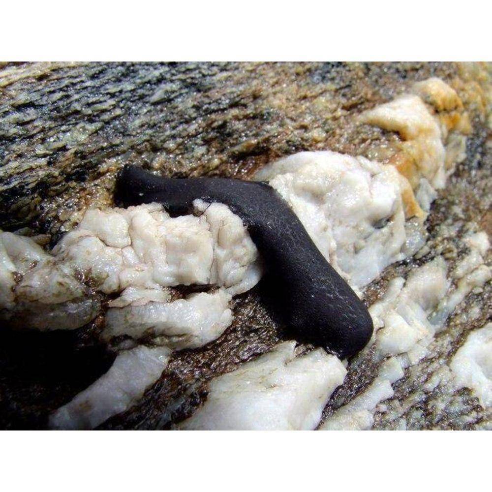 Himalayan Shilajit Tincture - Image 11