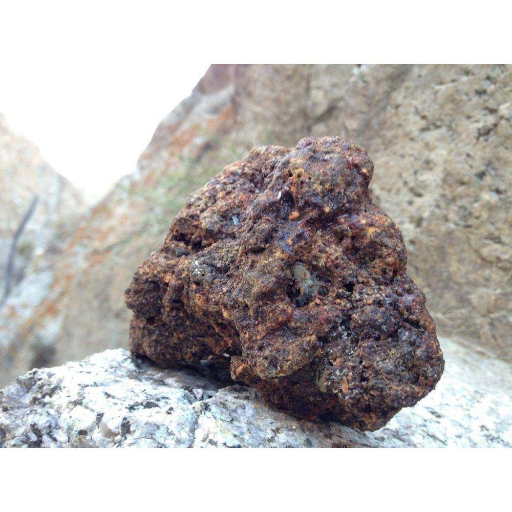 Himalayan Shilajit Tincture - Image 12