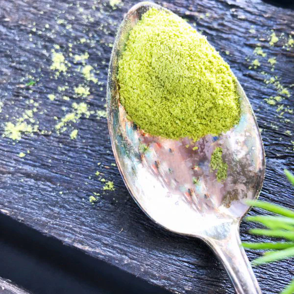 Kerkka Spruce Needle Sprout Powder - Image 7